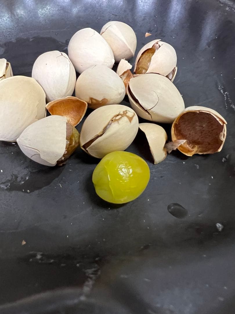 【新品】マイクロ波対策！電子レンジ専用Sサイズ！少量の調理向き⭐︎お惣菜温めにも！