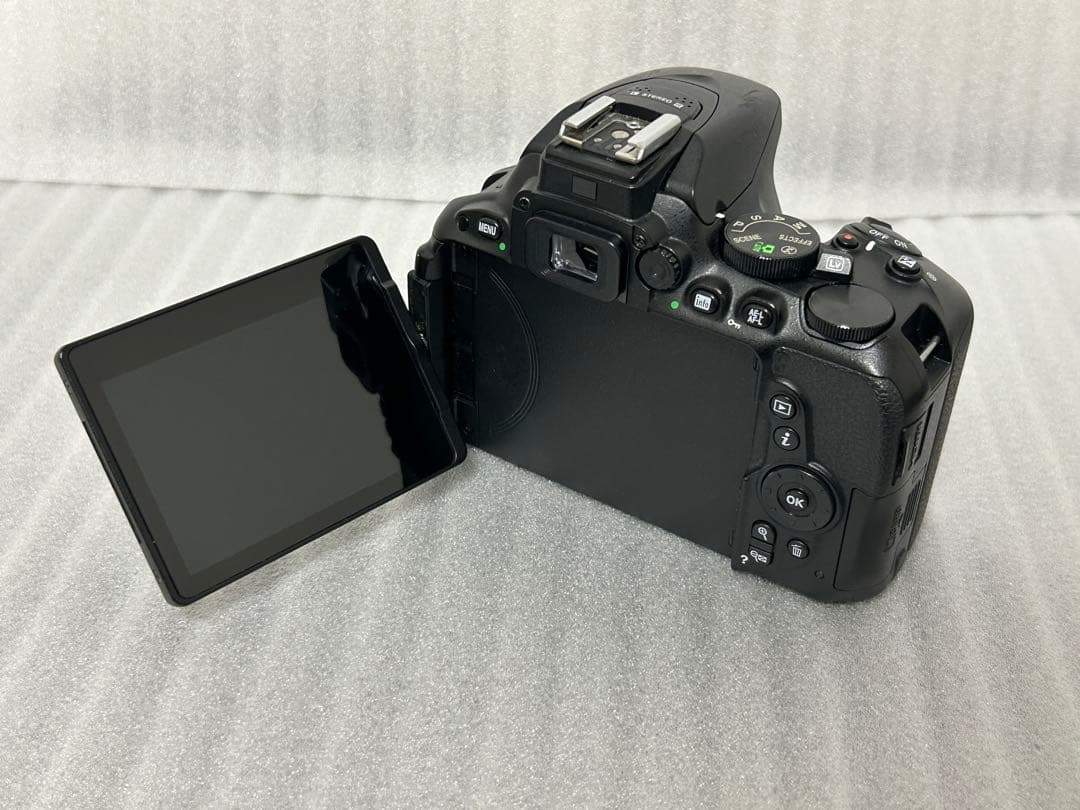 Nikon D5500 ボディ 191