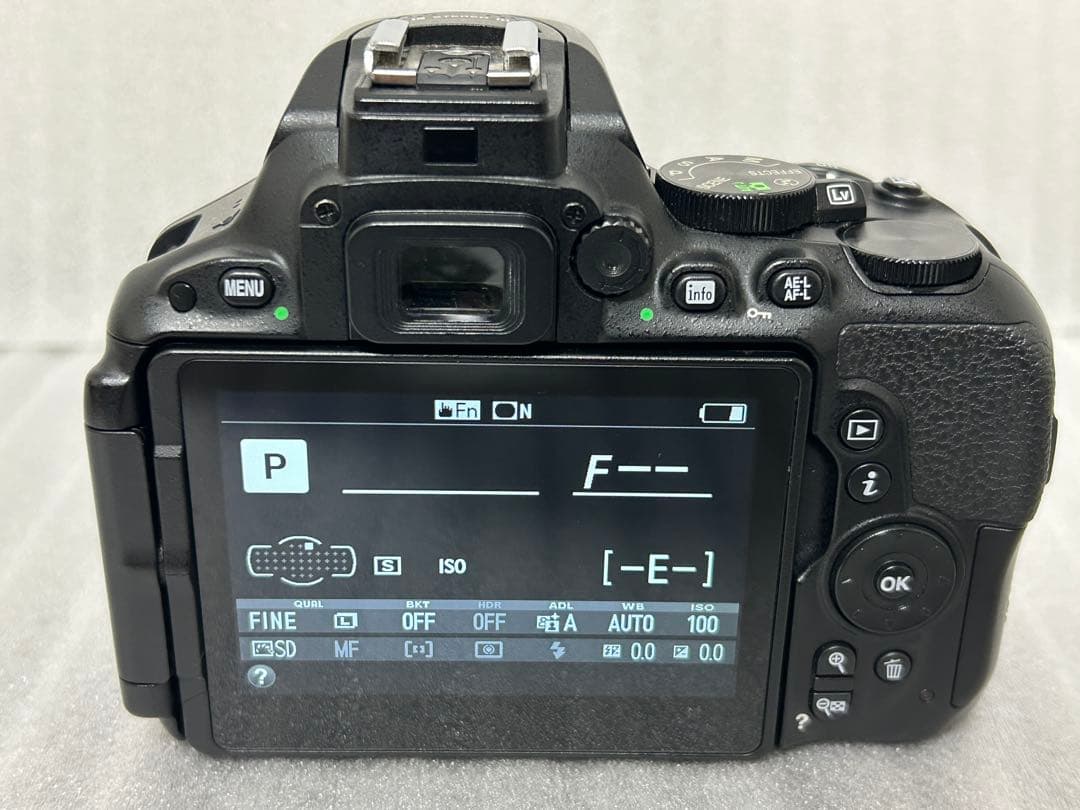 Nikon D5500 ボディ 191