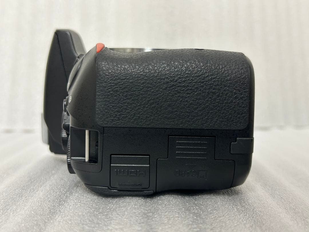 Nikon D5500 ボディ 191