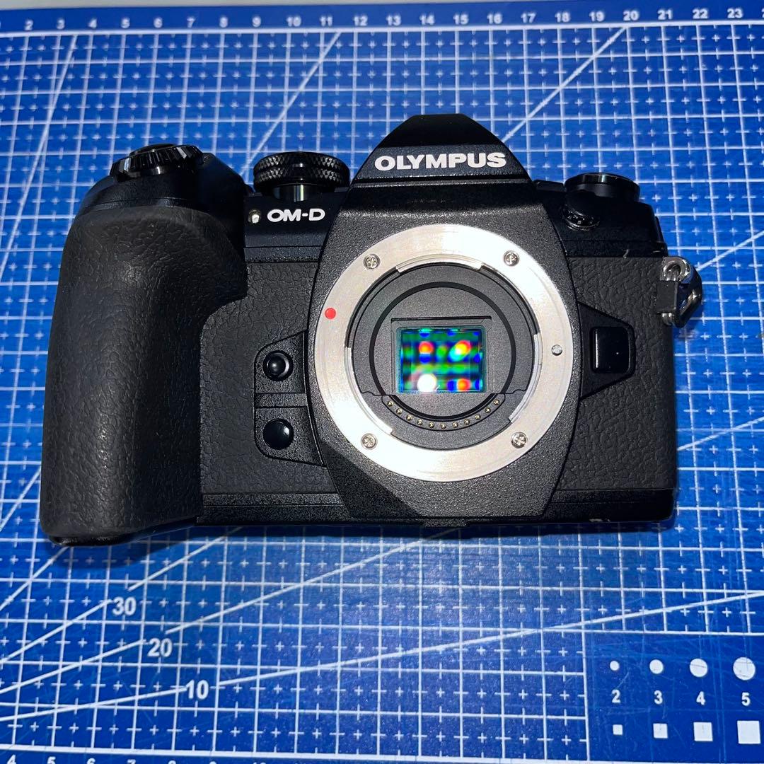 OLYMPUS OM-D E-M1 MarkⅡ ボディ純正バッテリー2個付き