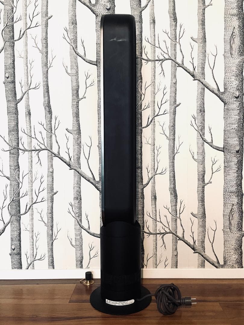 ダイソン タワーファン (ブラック/ ニッケル)