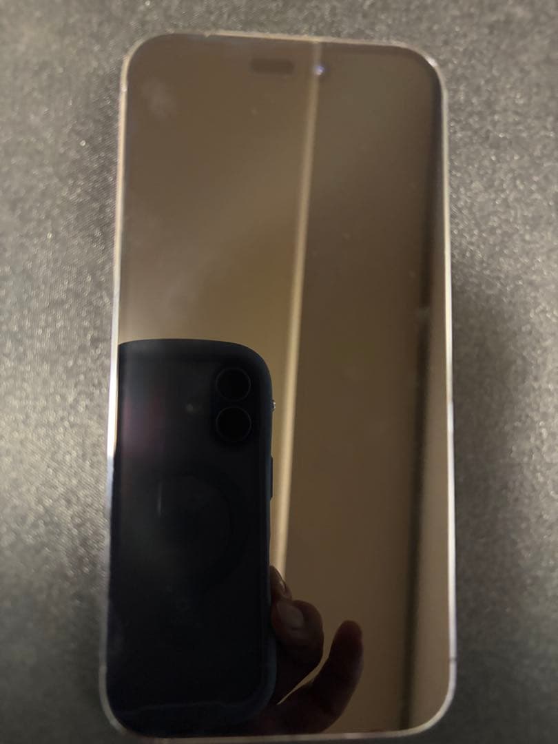 Apple iPhone 14 ProMAX 512GB ジャンク