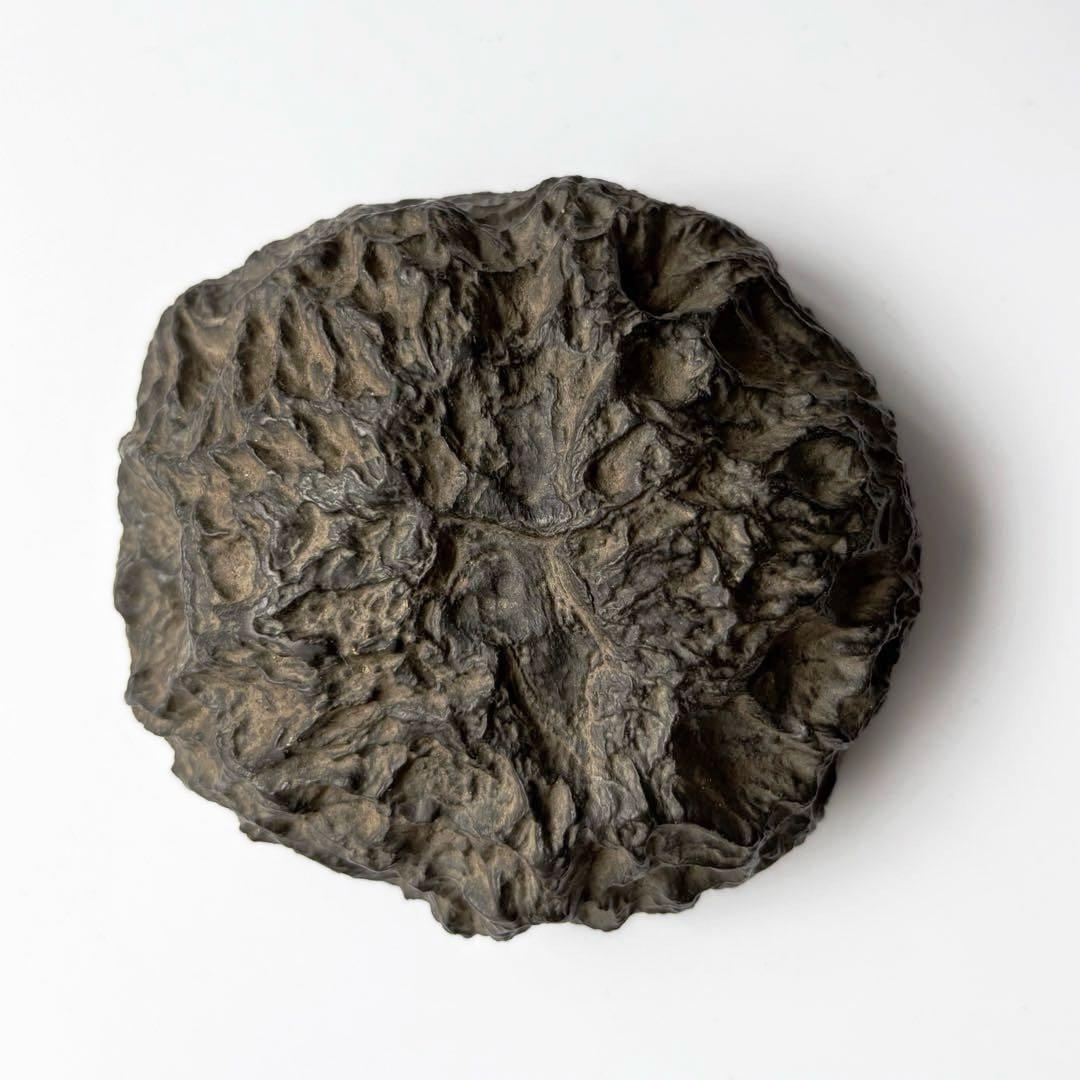 天然石　メロン馬蹄石　隕石　テクタイト　523g