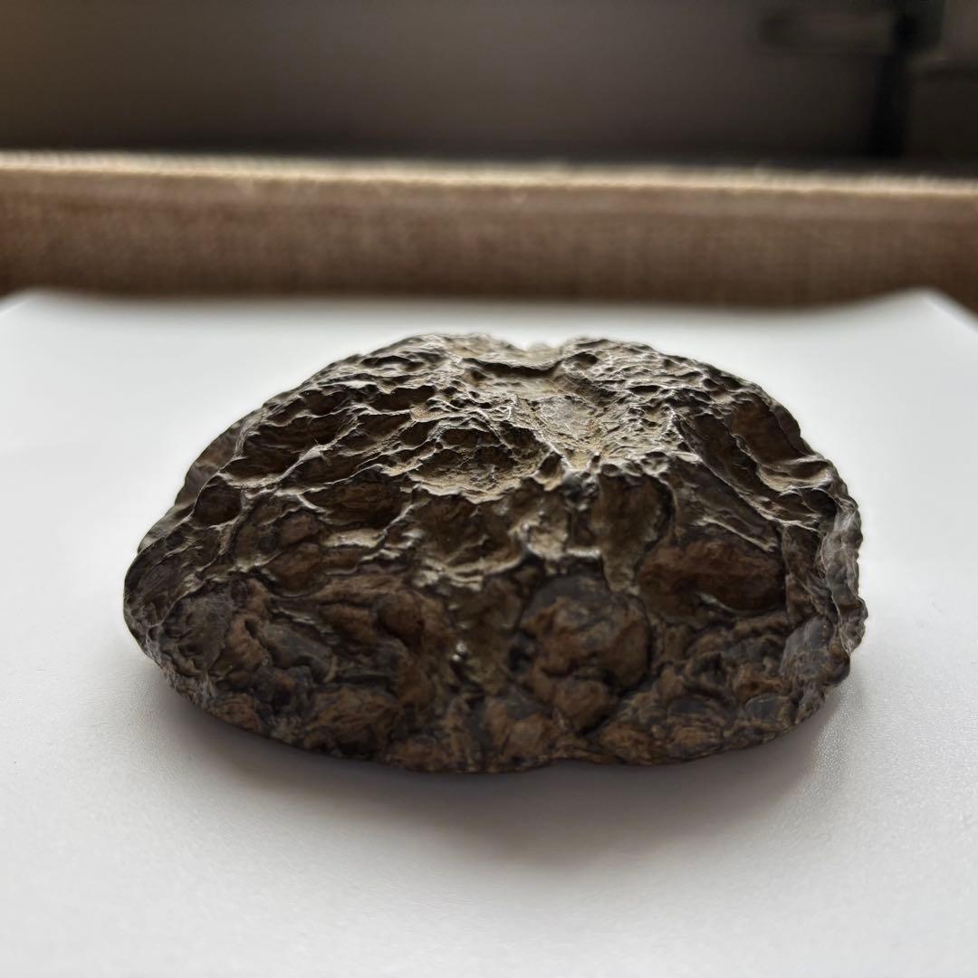 天然石　メロン馬蹄石　隕石　テクタイト　523g