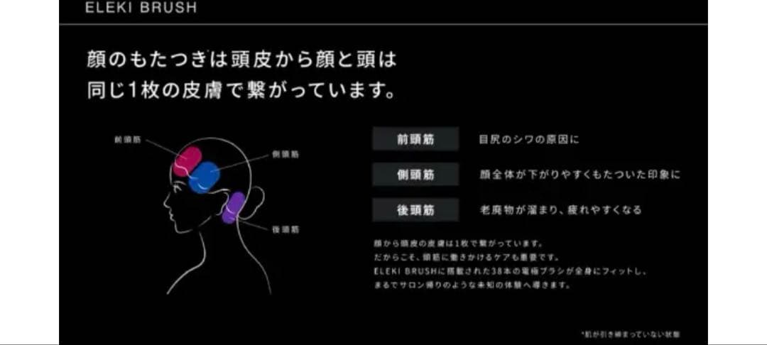 ブライト　エレキブラシ(本体)