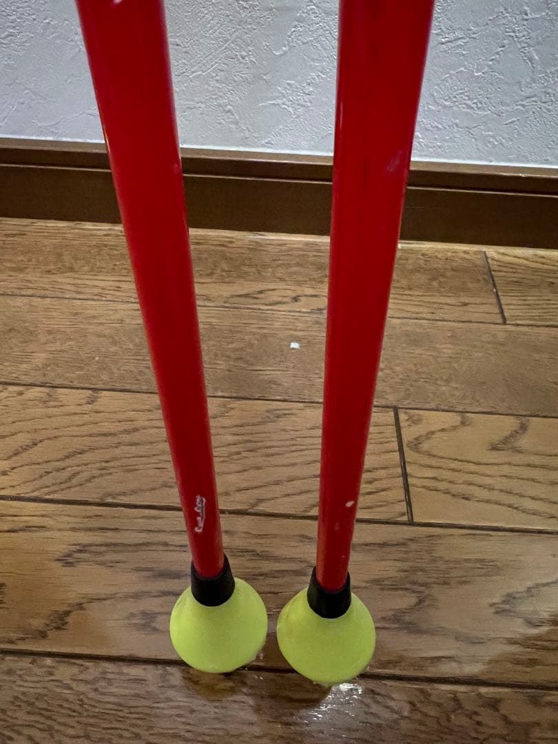 スキー LEKI WCR TBS GS 3D 120cm