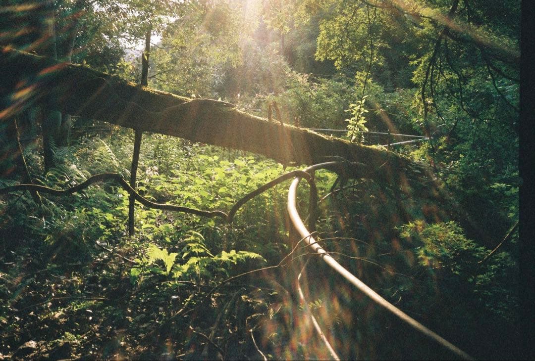 【動作確認済】Konica TOMATO AUTO DATE 実働品　作例あり