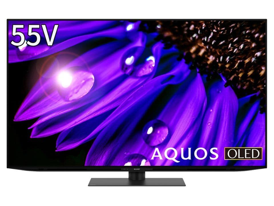 SHARP AQUOS OLED 55V テレビ 本体
