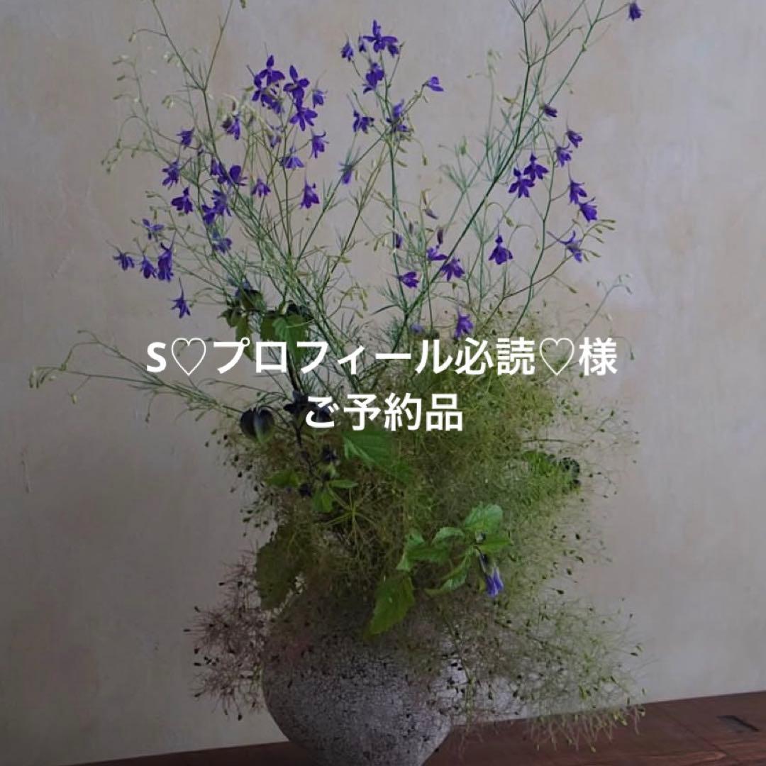 S♡プロフィール必読♡様　ご予約品