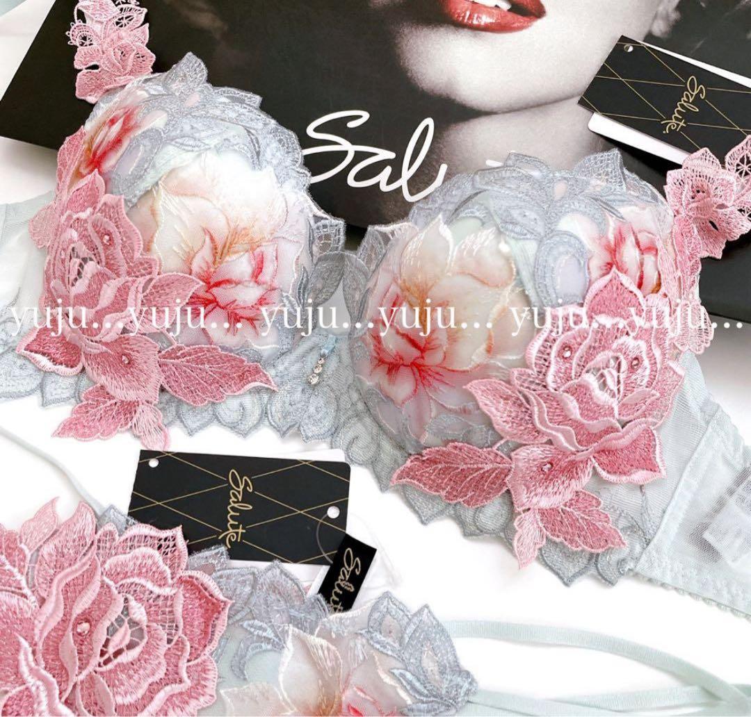 ワコール/サルート 97グループ 店舗限定 p-upブラソングF65