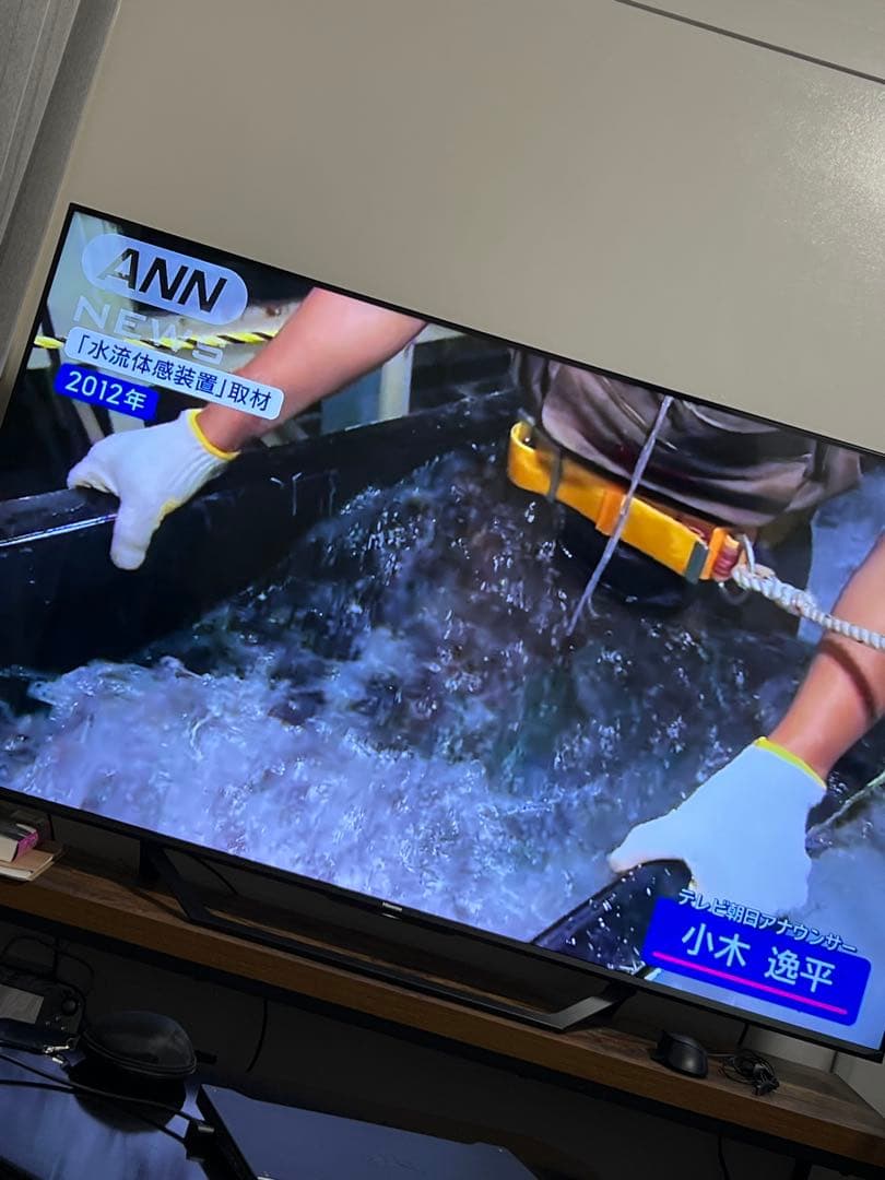 【専用】ハイセンス65インチ