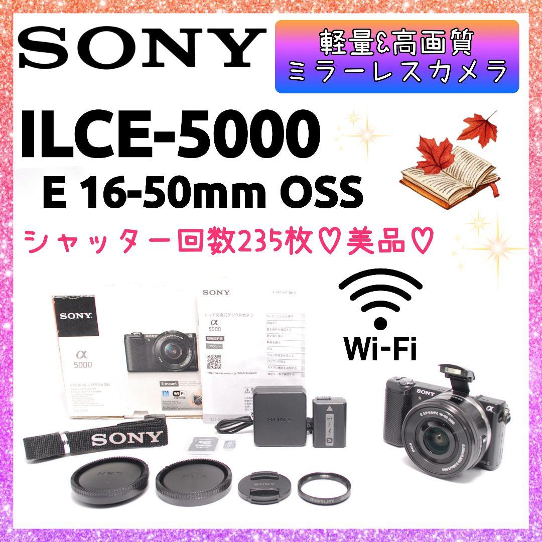 ❤即購入1000円OFF❤美品❤ SONY α5000 ショット数235枚✨