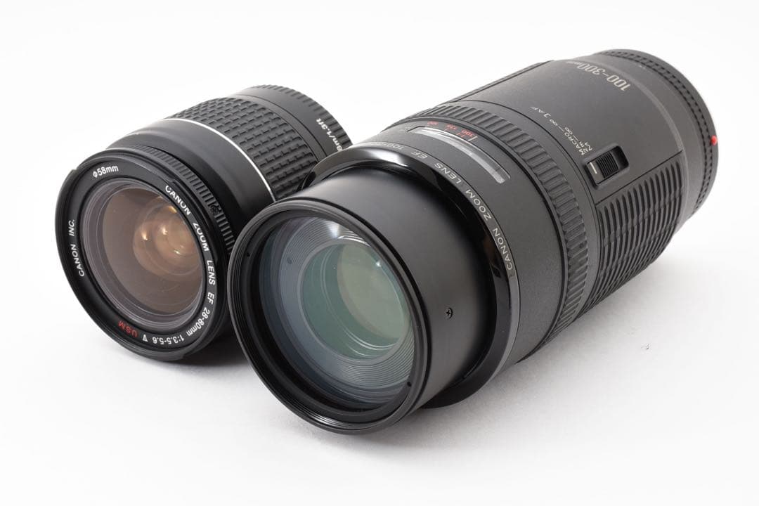 キャノン Canon EOS 5D MarkIII標準&望遠ダブルレンズセット