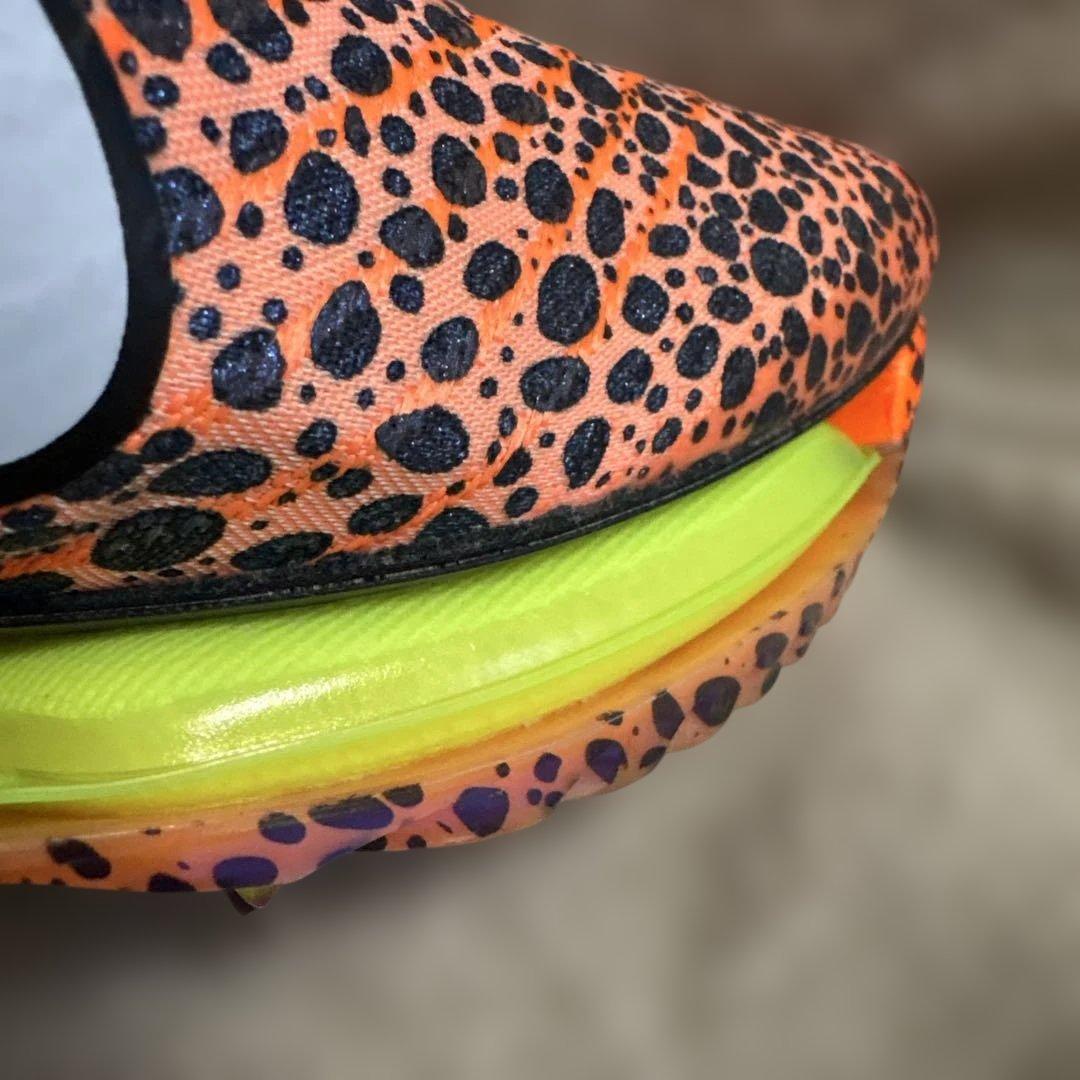 NIKEマックスフライ2パリカラー(27.0)