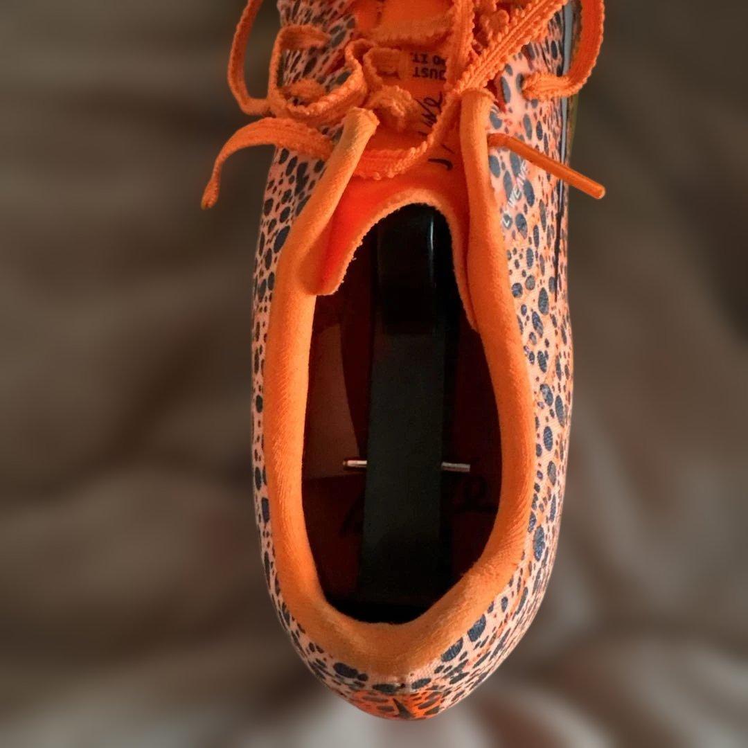 NIKEマックスフライ2パリカラー(27.0)