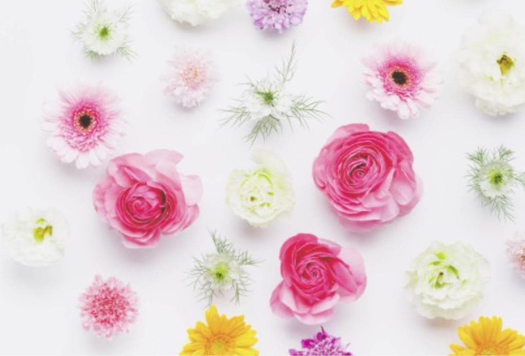 ５台 リファレイ