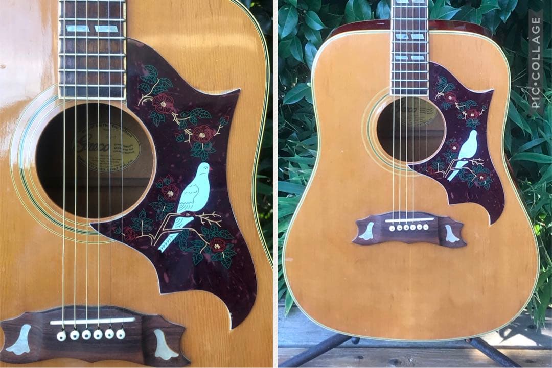 greco 303 DOVE グレコ フジゲン