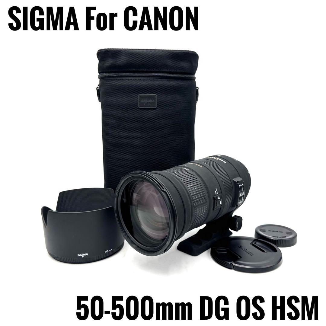 ❁大迫力！超望遠❁SIGMA 50-500mm DG OS HSM キャノン用