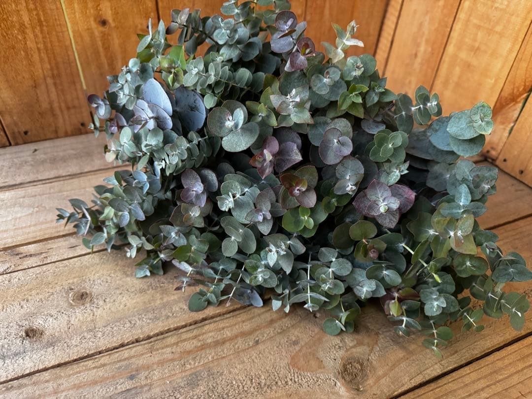 くるみ様 リクエスト 3点 まとめ商品