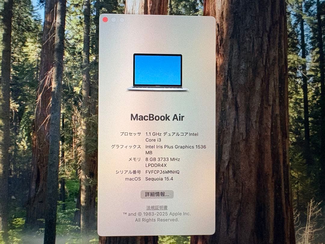 MacBook本体 Apple MacBook Air 13inch 8GB 256GB