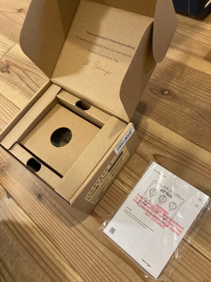 ギター BEHRINGER 69 VIBE