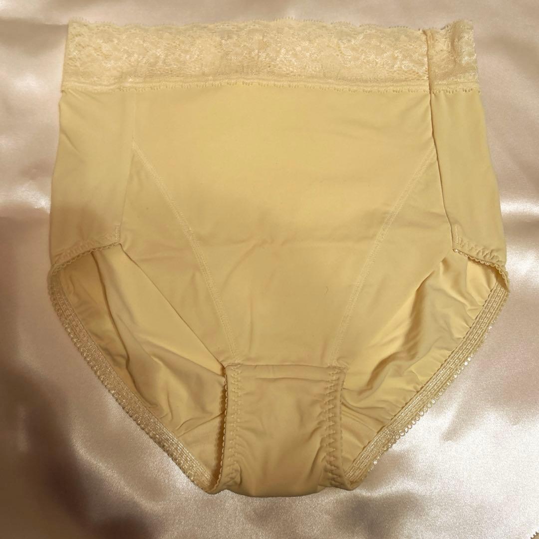 補正下着　シャンデール エレガント　ブラジャー&ショーツセットE70 ショーツM