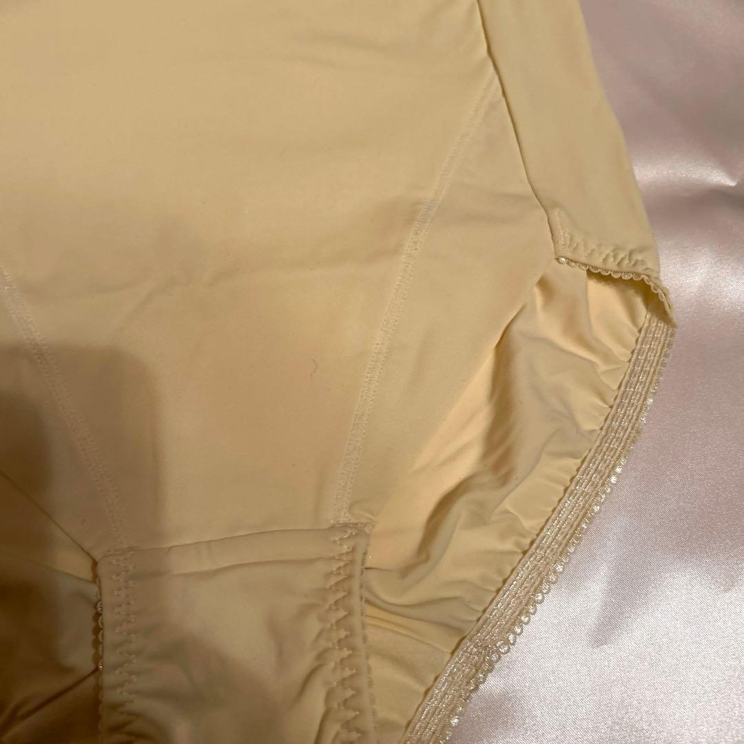 補正下着　シャンデール エレガント　ブラジャー&ショーツセットE70 ショーツM