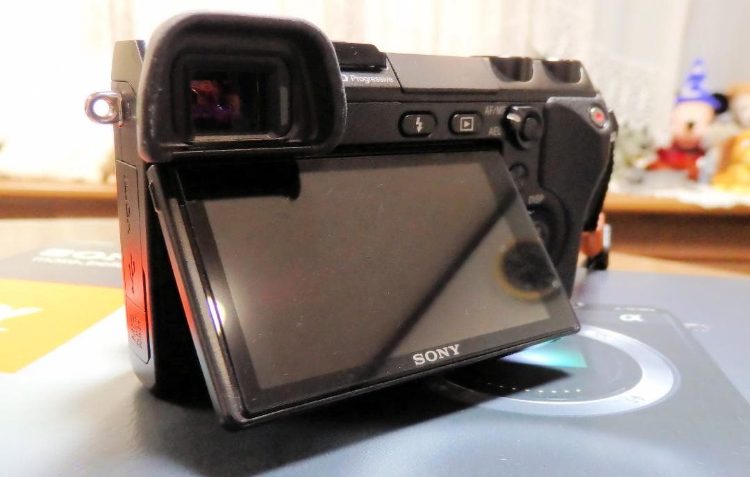 SONY NEX-7及びSELP1650