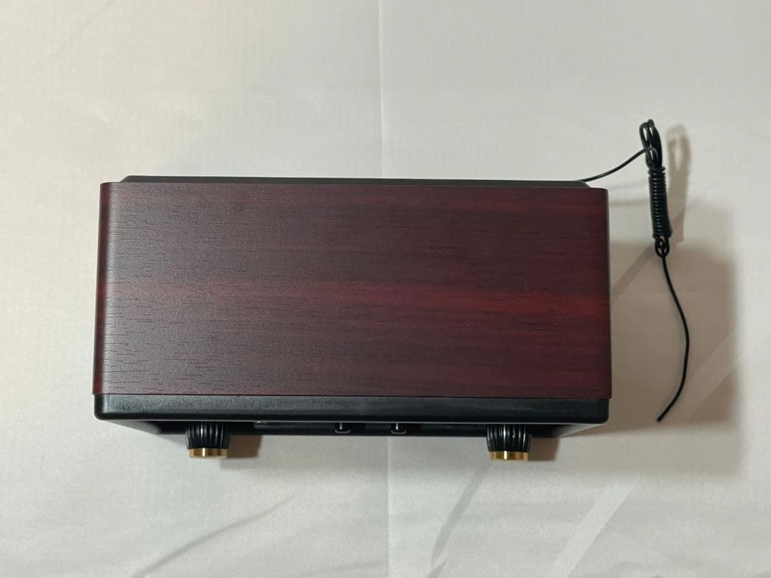 唱歌ラヂオ DX100 AM/FM付き音楽プレイヤー SRDX-001