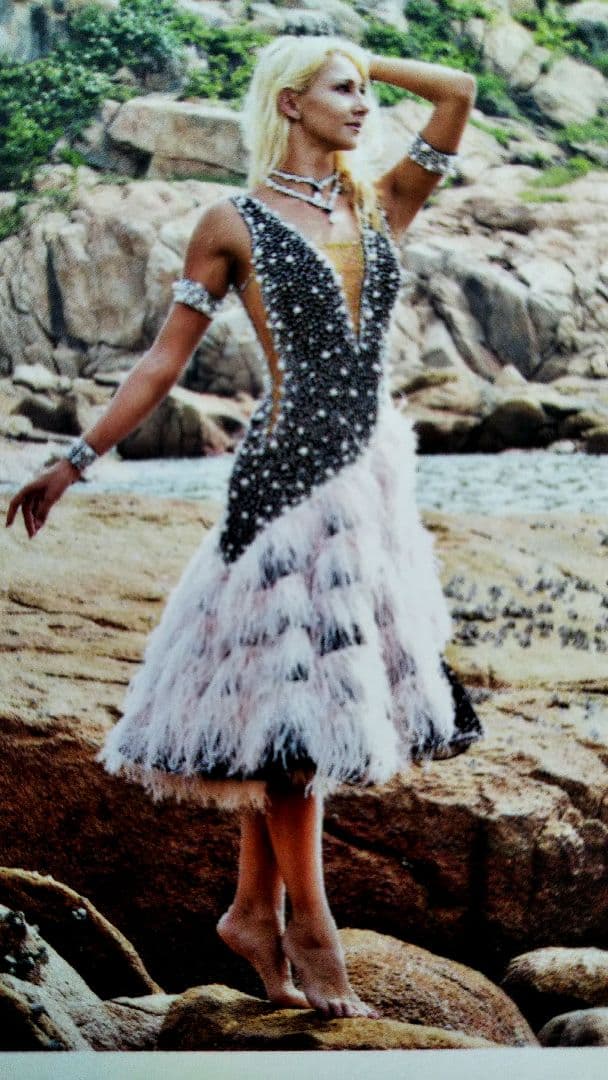 最終お値下げ❗️社交ダンス ジャンテイ gentil ラテンドレス