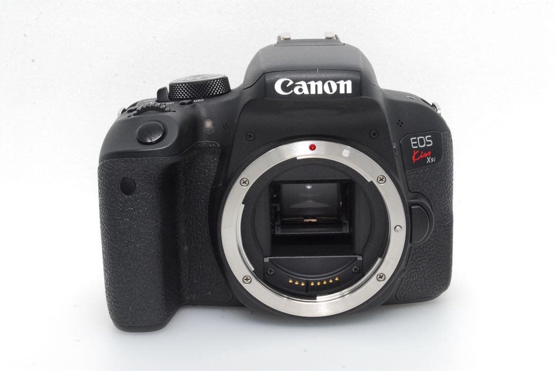 ✨ゆずぽんページ✨