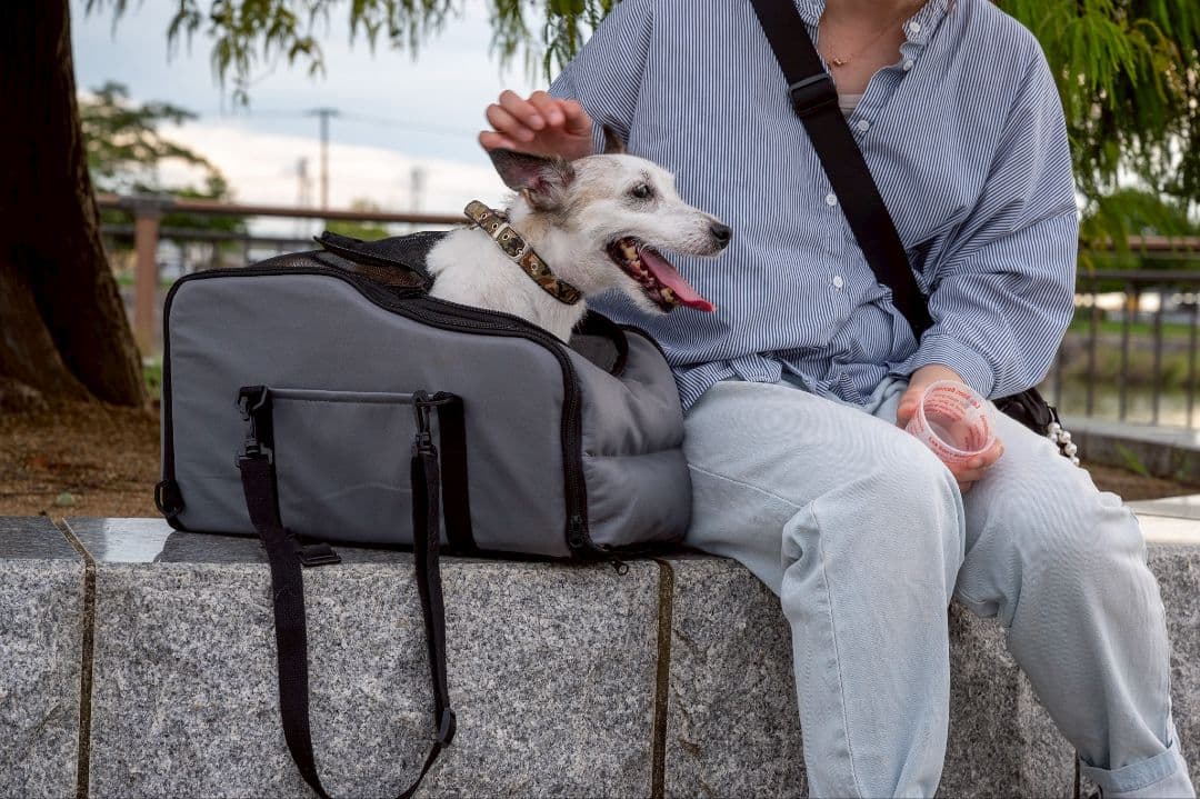 新品 電動アシスト自転車 PORTER-max　買い物 大特価!