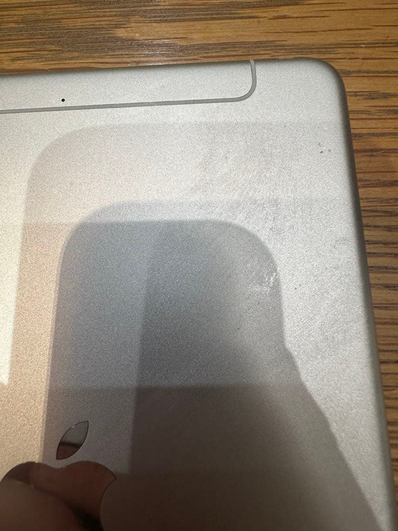 Apple iPad mini 第5世代　256GB Wi-Fi