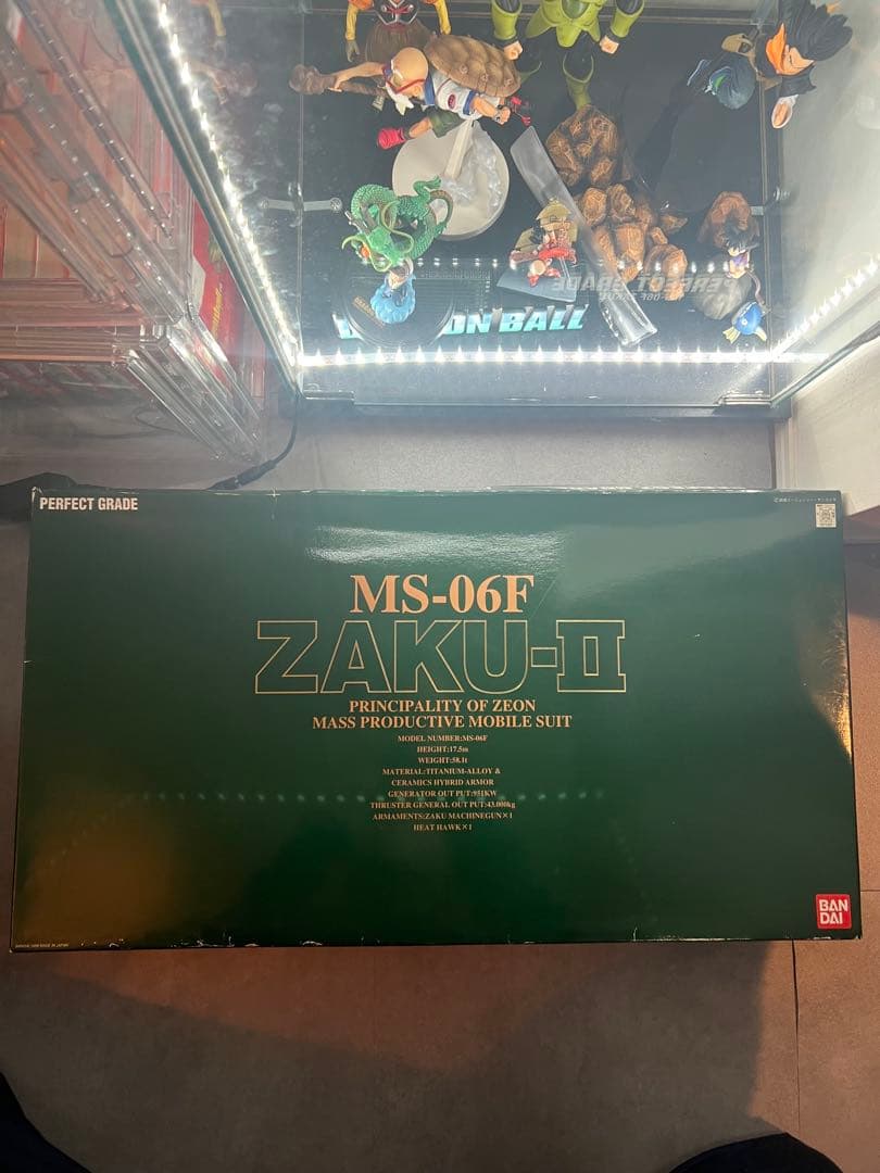 MS-06F ZAKU-II パーフェクトグレード　PG