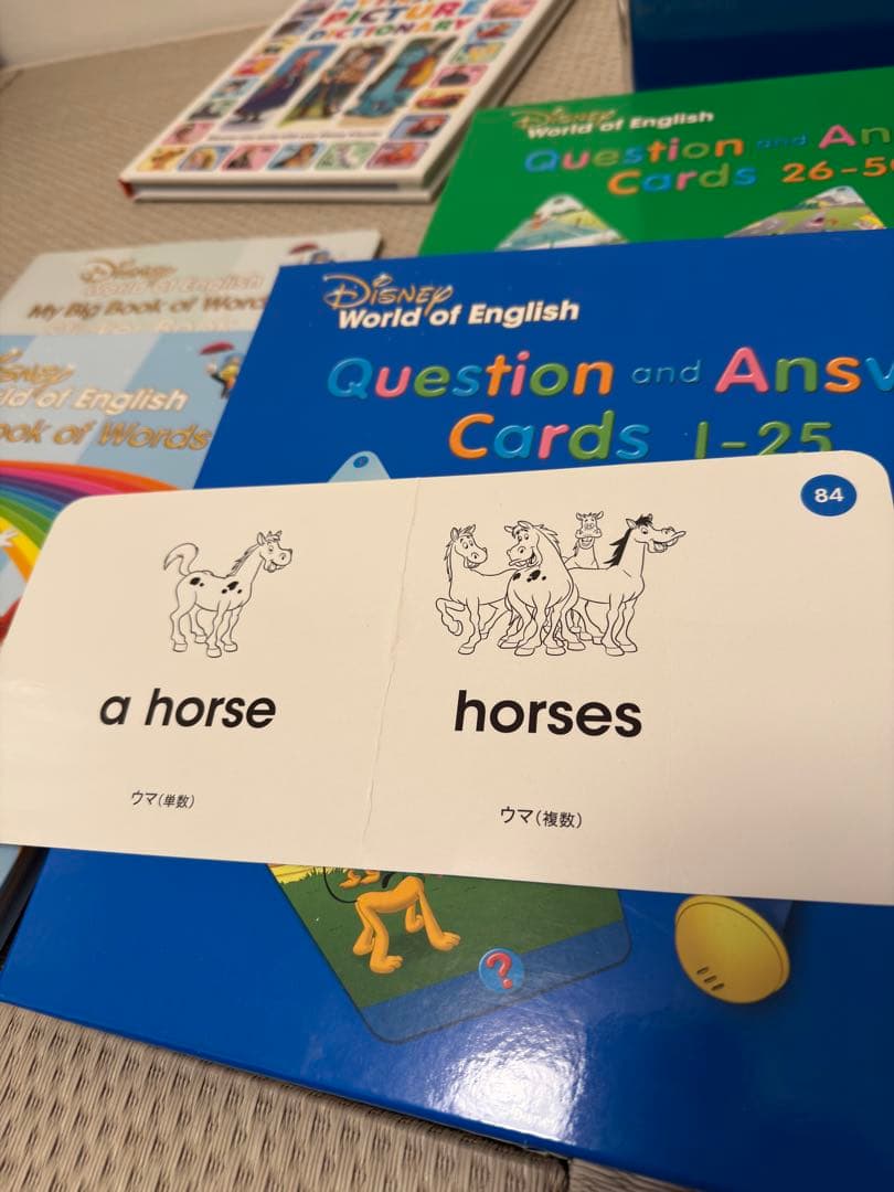 dwe トークアロング,Q&A カード,ピクチャー英語辞書