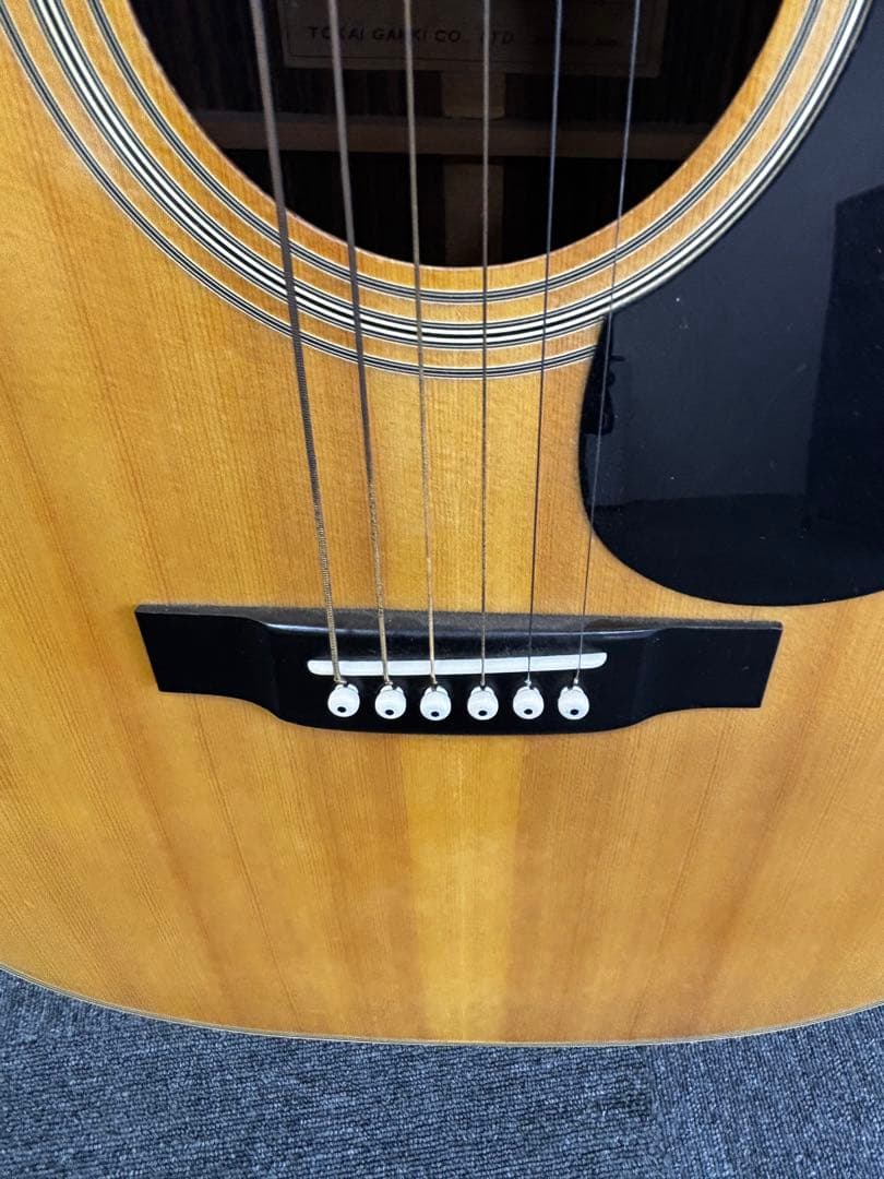 Cat's Eyes CE-300 アコースティックギター Tokai楽器