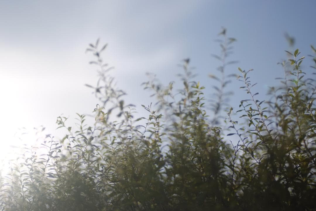 k*様 希少トキナー Tokina AT- X PRO SV 28-70㎜ f2