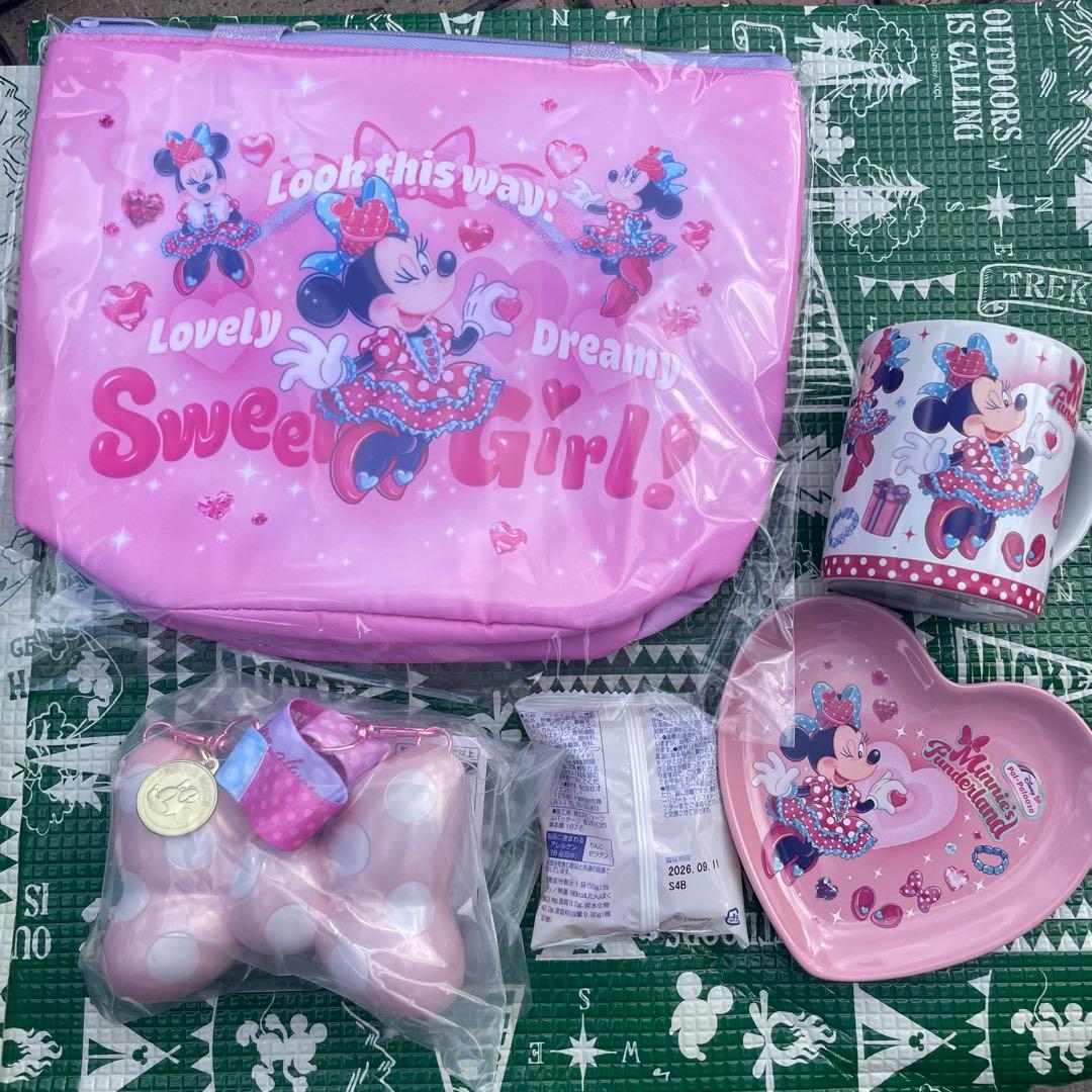 ミニー　パルパルーザ　スーベニアセット