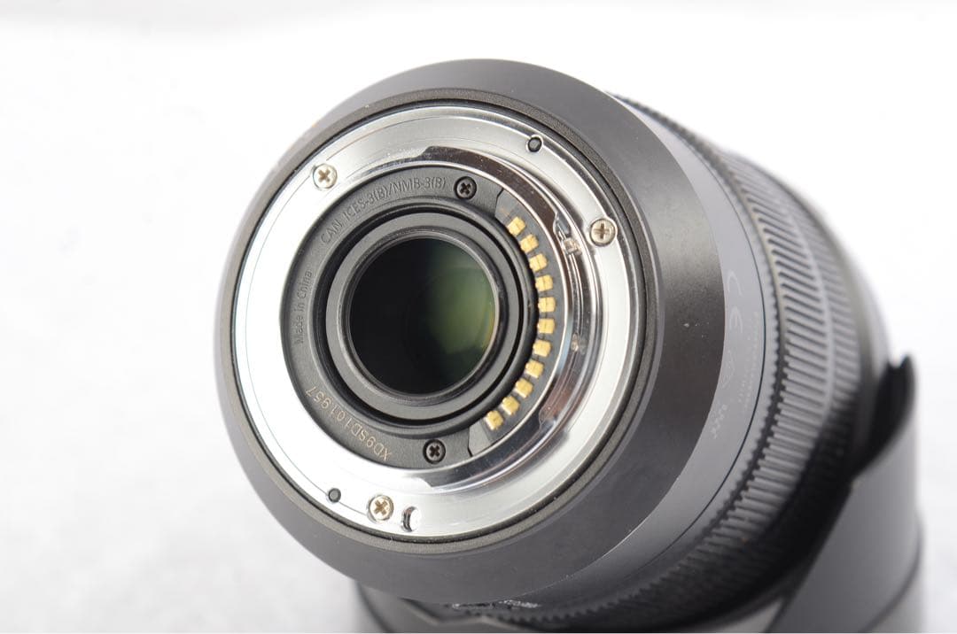 レンズ(ズーム) LEICA DG VARIO-ELMARIT 12-60mm