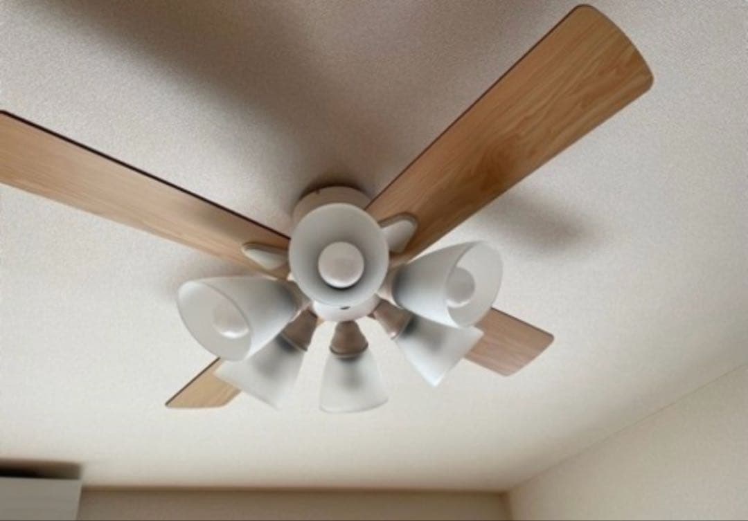 LOWYA シーリングファンライト シーリングライト 照明　ナチュラル