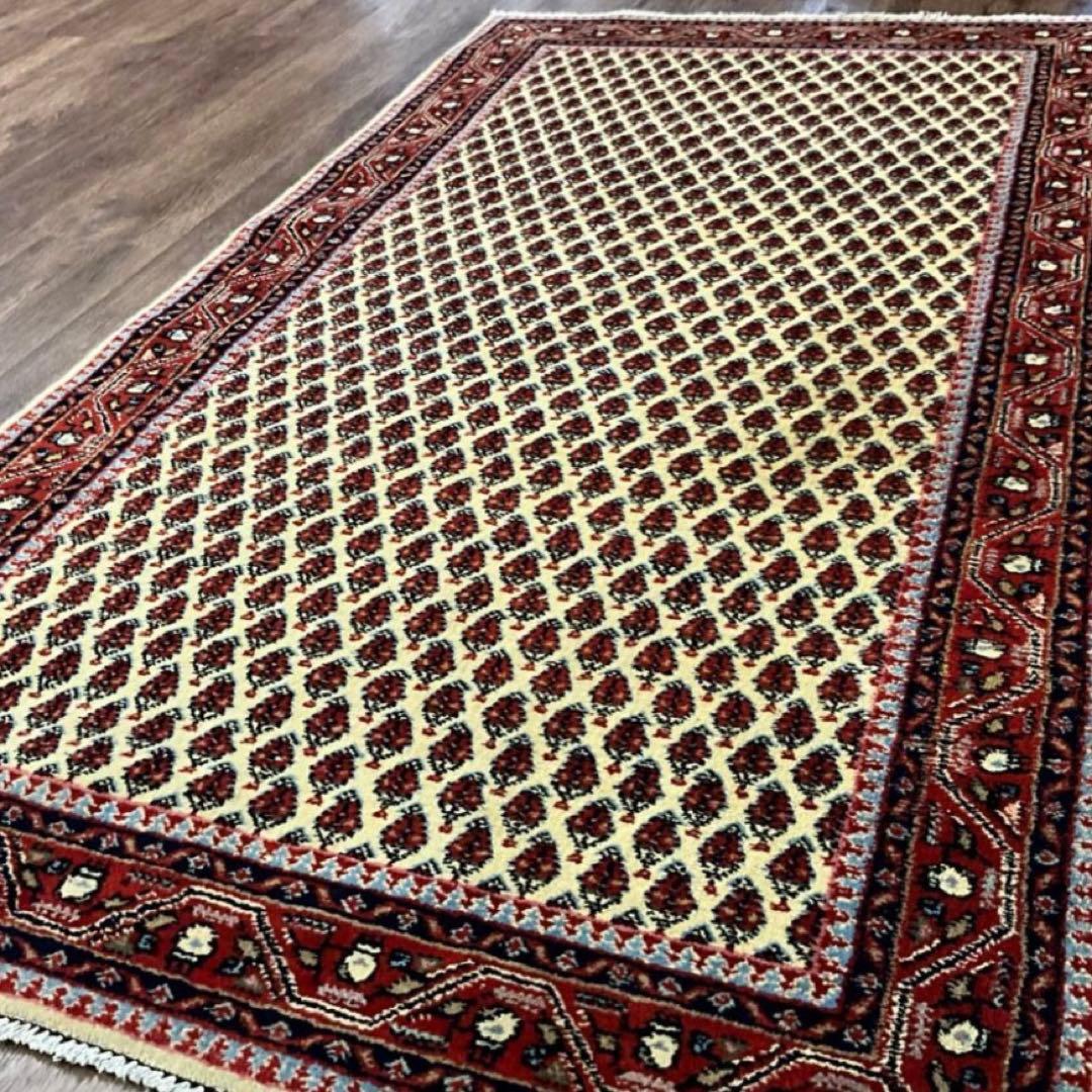 トライバルラグ