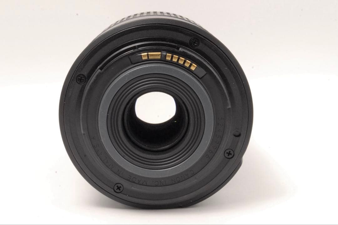 ✨レンズフード付✨Canon 純正 EF-S 55-250mm 望遠レンズ