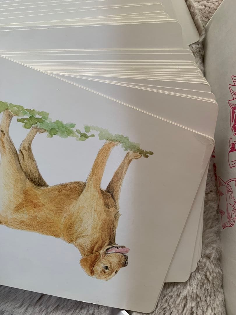 定価17600円しちだ　かな絵ちゃん　A フラッシュカード　右脳教育