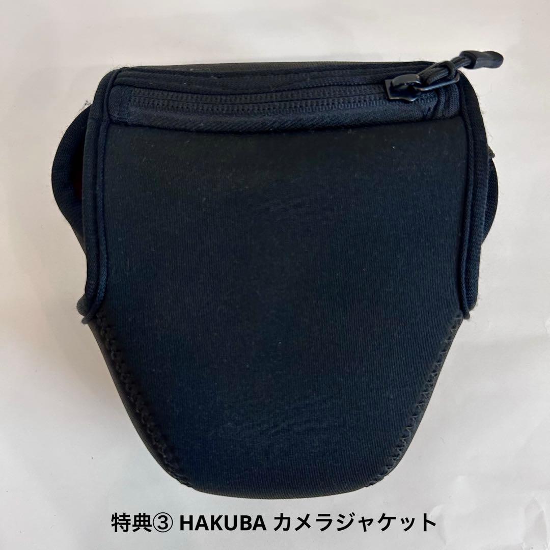 【初心者向け】Nikon D5600 デジタル一眼レフカメラ　ダブルズームキット