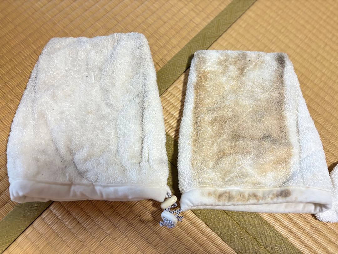 【使用数回】シャーク　スチームポータブル　掃除　キッチン　お風呂　洗車