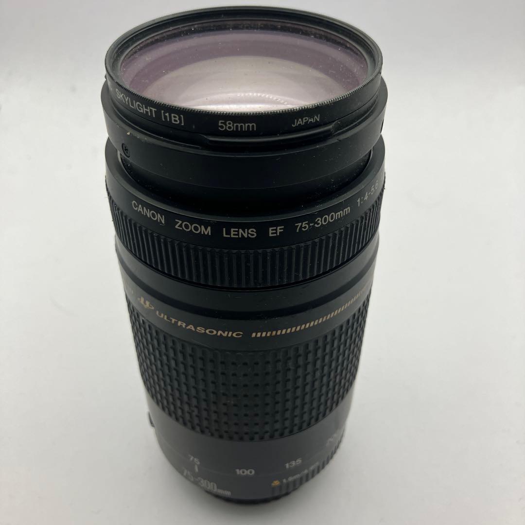 CANON EF 75-300mm ズームレンズ