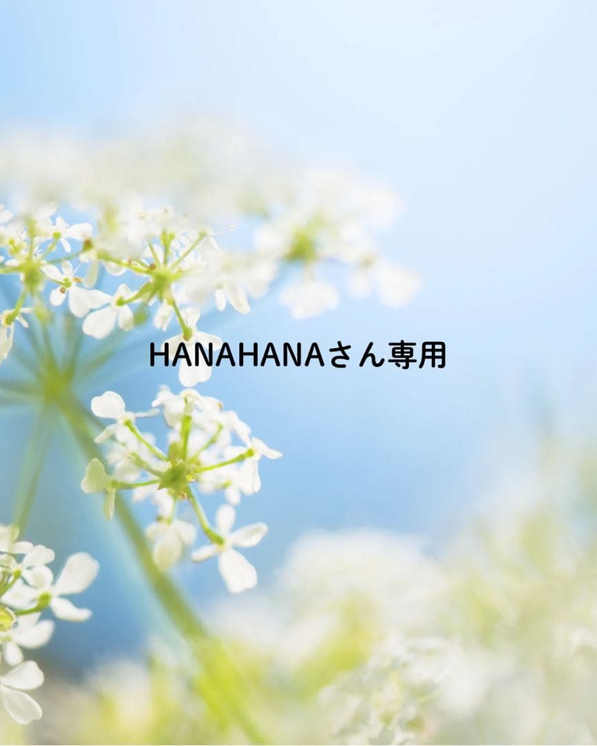 HANAHANAさん専用