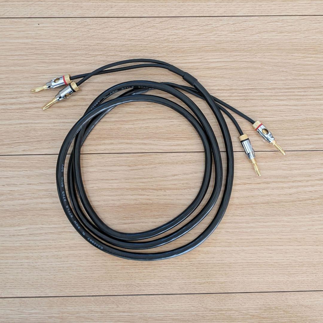 スピーカー Audioengine A2＋ USB DAC Bluetooth