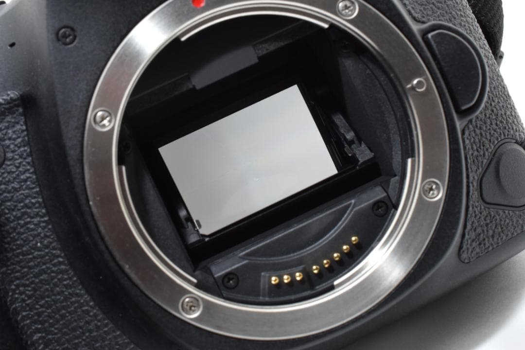 Canon EOS 6D Mark II 本体